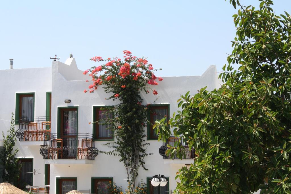 Bronze Hotel Gümbet Exterior foto